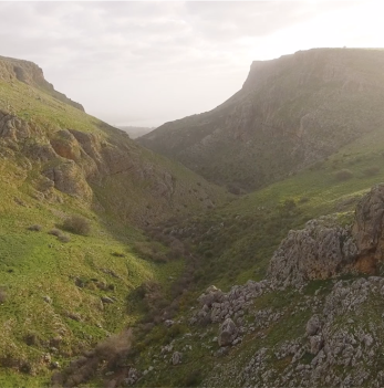 Screenshot 2025-01-20 at 10.31.56 PM 1(1)